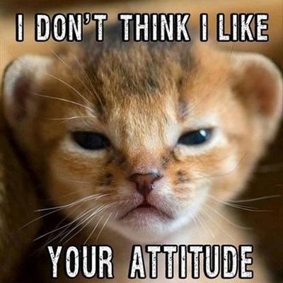 Profile Picture of Nancy Wenzel Hill (@Nancy917) on Twitter