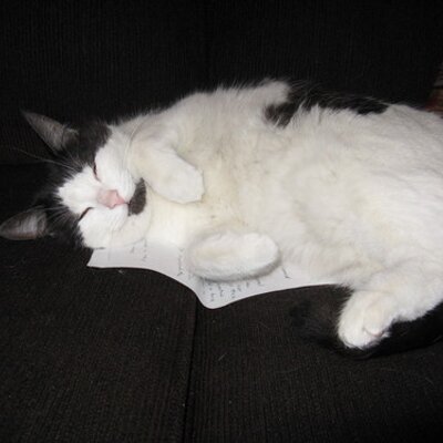 Profile Picture of Josh Cornish (@fartzilaman) on Twitter