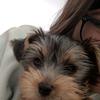 Profile Picture of amira_clark (@amira_clark) on Tiktok