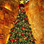 Profile Picture of Sean Conte (@seanconte08) on Instagram