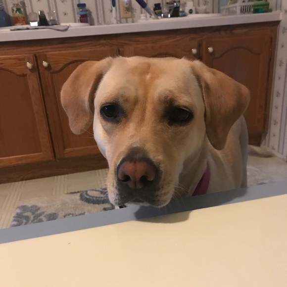 Profile Picture of Anna Appel (@anna1274) on Poshmark