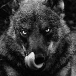 Profile Picture of James Garris (@eetransport) on Instagram