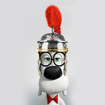 Profile Picture of 袁 泉 (@jonathan yuan) on Flickr