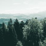 Profile Picture of Dwayne L. (@dwayne_lane_123) on Instagram