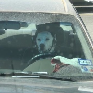 Profile Picture of Timothy Canalichio (@timplaysthebass) on Myspace