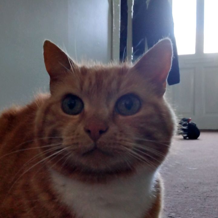 Profile Picture of Dylan Byrne (@dylan..byrne) on Tiktok