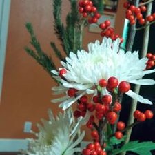 Profile Picture of Debbie Chiu (@debbiech88) on Twitter