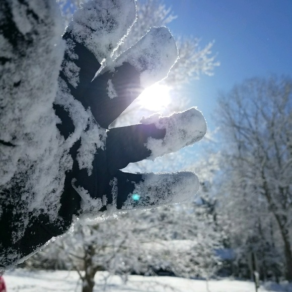 Profile Picture of Brian Passineau (@beast151) on Poshmark