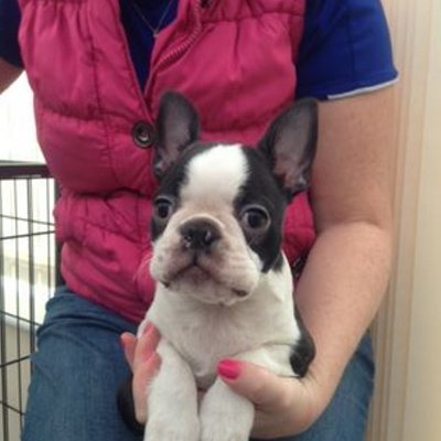 Joanne Barclay - Twitter Profile Picture of Joanne Barclay (@JoanneBarclay3) on Twitter