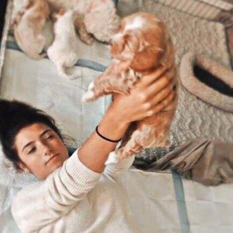 Profile Picture of ^charli^ (@dutnserflow) on Tiktok