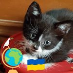 Profile Picture of Nicholas Rowson (@row1onnch5ols) on Instagram