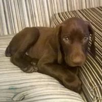 Profile Picture of Jocelyn Arango (@yoselyn0726) on Pinterest