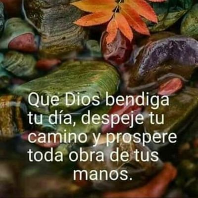 Profile Picture of Yolanda Ignacia Martinez Balderas (@YolandaIgnacia1) on Twitter