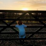 Profile Picture of Andy Groves (@ar.groves) on Instagram