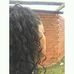 Profile Picture of Tamique Stringer (@tamique.stringer.1) on Facebook