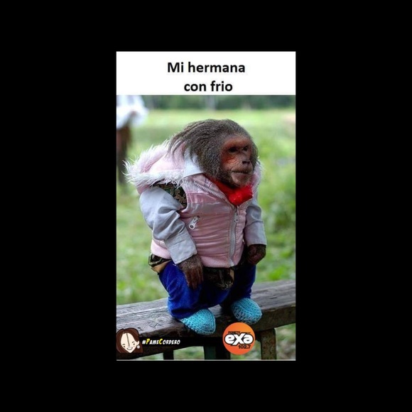 Profile Picture of Johnny Gonzaga (@bxbully) on Poshmark