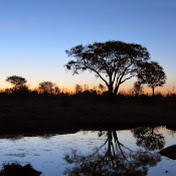 Profile Picture of Scott Jurgens (@scottjurgensprods) on Youtube