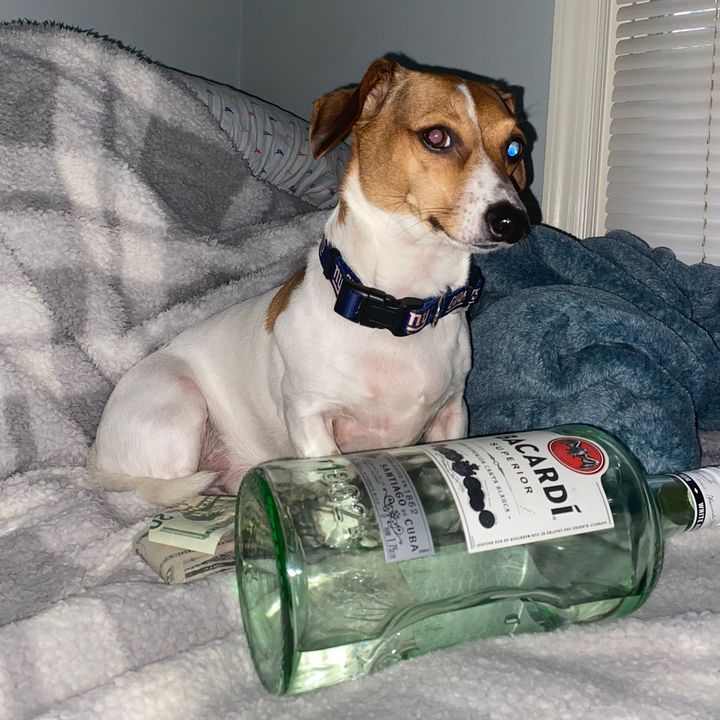 Profile Picture of Robert Peck (@robert.peck33) on Tiktok