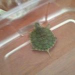 Profile Picture of jermaine Andrews (@jermaineandrews4394davon) on Instagram