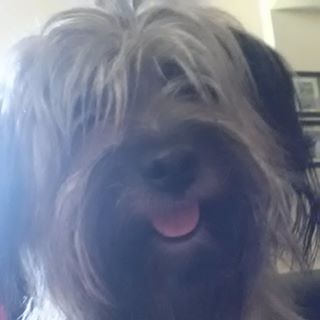 Profile Picture of Max Browning (@max.browning.188478) on Facebook