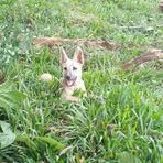 Carlos Talavera - Facebook Profile Picture of Carlos Talavera (@carlos.talavera.507172) on Facebook