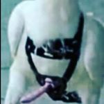 Profile Picture of michael mcgowan (@michalmcgowan23) on Instagram