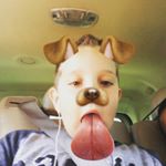 Profile Picture of brianasman (@brianasman) on Instagram