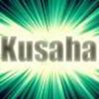 Profile Picture of Kevin Németh (@KevinKusaha) on Twitter