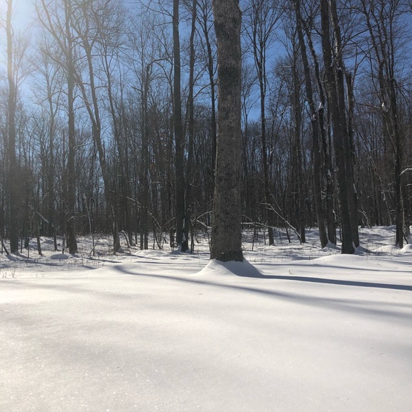 Profile Picture of Shaen Neitz (@shaenneitz) on Poshmark