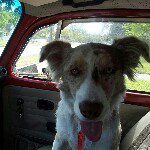 Profile Picture of Shawn Reardon (@srbills) on Instagram