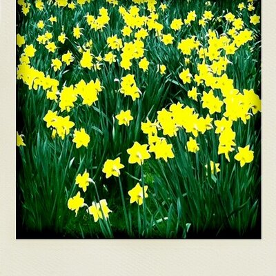 Profile Picture of Kate Eden (@kateeden) on Twitter