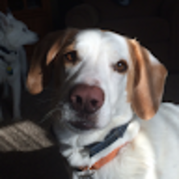 Profile Picture of Aren Feuling (@arenfeuling) on Poshmark