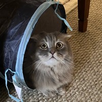 Profile Picture of Thomas Prusak (@thomas-prusak-4) on Quora