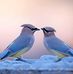 Profile Picture of Jay Murthy (@jay.murthy.77) on Facebook