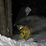 Profile Picture of Brandon Fuller (@murashie) on Flickr