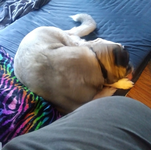 Profile Picture of Joe Herdzina (@joeh519) on Poshmark