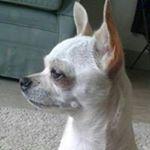 Profile Picture of Jane Bloomer (@janebloomer) on Instagram