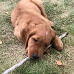 Profile Picture of Jim Paulson (@jimmy_acanthus) on Instagram