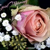 Profile Picture of Keshav Prasad (@@keshavprasad716) on Tiktok