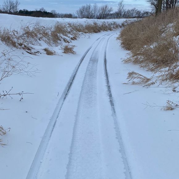 Profile Picture of Shawn Langenderfer (@stlhollywood) on Poshmark