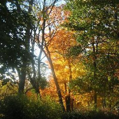 Profile Picture of Barbara Gilbert (@@crikit59) on Twitter