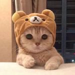 Profile Picture of Aline Boucher (@aline.boucher.7161) on Instagram