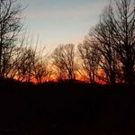 Profile Picture of Hayden Knotts (@crashslash021) on Instagram