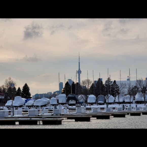 Profile Picture of Shan Lin (@xiaoshan033) on Poshmark