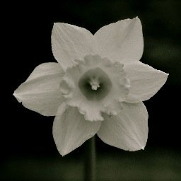 Profile Picture of Heather Bielemeier (@Heather_Bielem) on Twitter