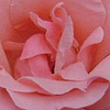 Profile Picture of DG Esq (@DG Esq) on Flickr