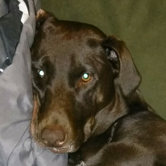 Profile Picture of Penni Rowton (@bae38) on Poshmark