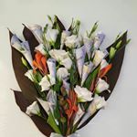 Profile Picture of zahra sharifi (@sharifi09387168232) on Instagram