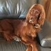 Profile Picture of Barry Curry (@taildrgr) on Pinterest