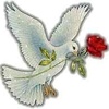 Profile Picture of سالم شحاذه شحاذه (@@salemshehadhashehadha) on Tiktok